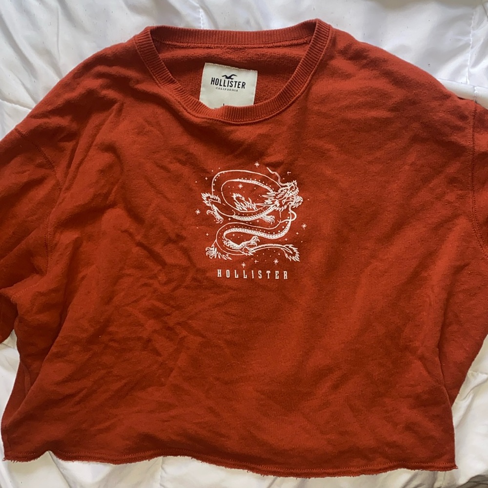 Crop Hollister Long Sleeve